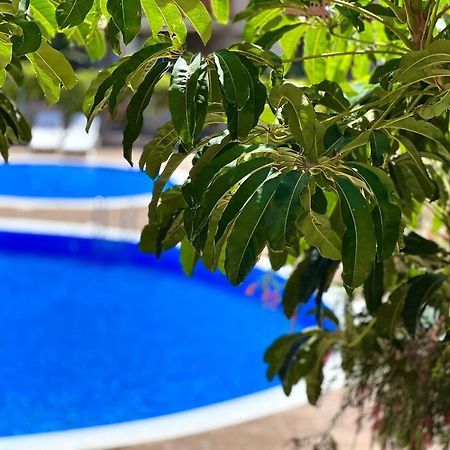 3-Bedrooms Apartament Vista Roja غراناديا دي أبونا المظهر الخارجي الصورة